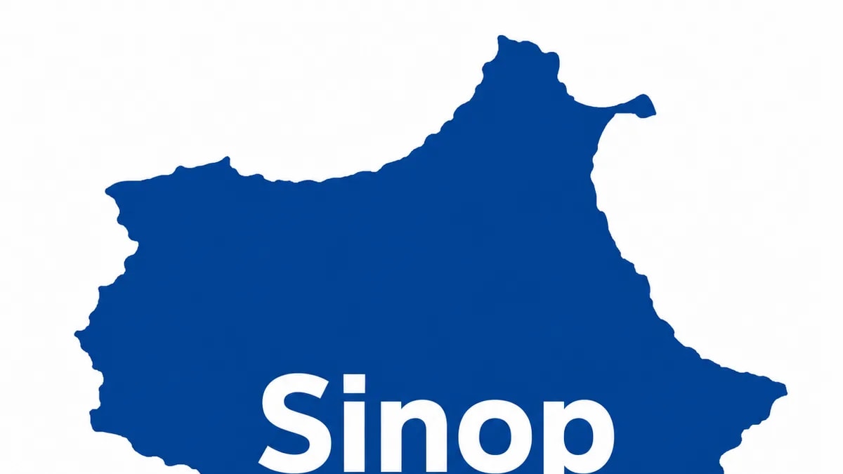 Sinop'ta sahilde İHA parçaları bulundu